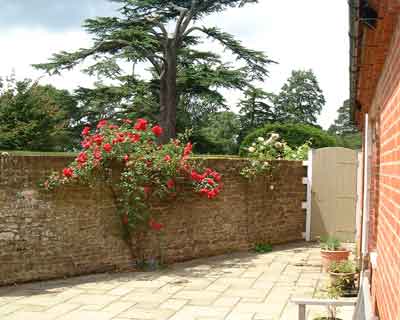 Dairy Cottage, Yard looking South West'.